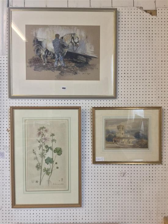 Botanical prints, 19thC w.col of a country church, pastel of a horse being groomed